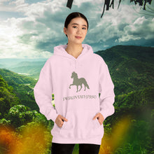 Load image into Gallery viewer, Peruvian Paso Horse Hoodie - Ride the Glide
