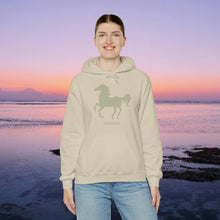 Load image into Gallery viewer, Arabian Horse Hoodie for &quot;Hot Blooded&quot; Arabian Horse Lovers
