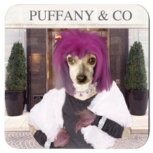 Load image into Gallery viewer, Personalized Pet Coasters - Diva
