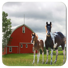 Load image into Gallery viewer, Farmhouse Horse Coasters
