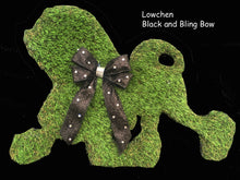 Load image into Gallery viewer, Lowchen Dog Halloween wreath
