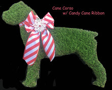 Load image into Gallery viewer, Cane Corso Dog christmas wreath
