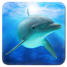 Load image into Gallery viewer, Dolphin Lover Coasters
