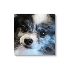 Load image into Gallery viewer, dog portraits personalized canvas art
