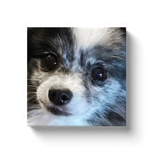 Load image into Gallery viewer, custom photo canvas gifts for dog lovers
