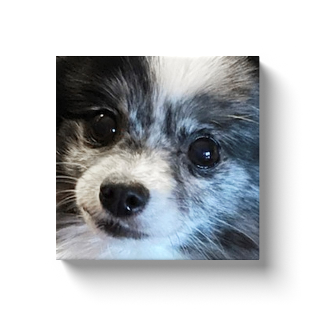 custom photo canvas gifts for dog lovers