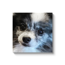 Load image into Gallery viewer, pet canvas art personalized canvas prints 
